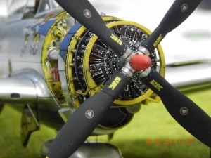 DSCN2094