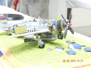 DSCN2097