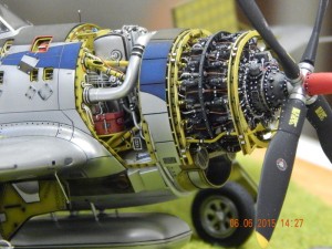 DSCN2099