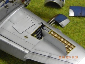 DSCN2103