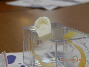 DSCN5275