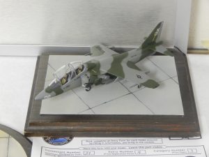 DSCN5801
