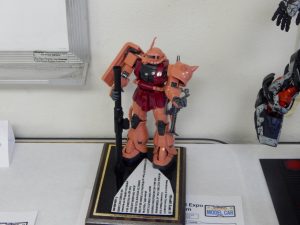 DSCN5823