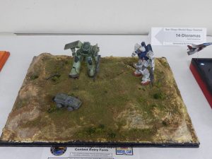 DSCN2441 DSCN2441