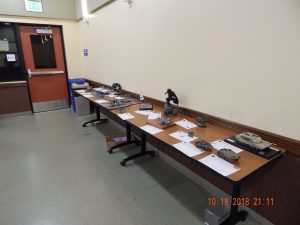 The contest table
