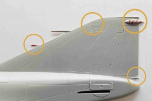 20210116_Tail Left BEFORE (2)