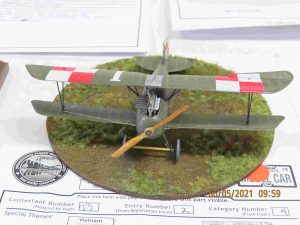 First Place - Oeffag Albatross D.III by Rob Hart